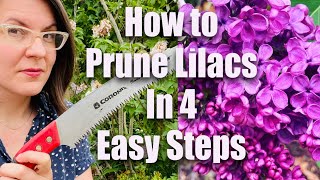 How to Prune Lilacs in 4 Easy Steps [upl. by Ahseryt]