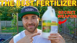 This Fertilizer Is My SECRET WEAPON For A Healthy Productive Garden [upl. by Kippie]