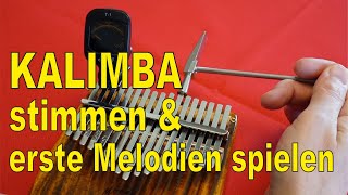 Kalimba stimmen und erste Melodien spielen  für Anfänger ohne Notenkenntnisse  Tutorial [upl. by Yance]