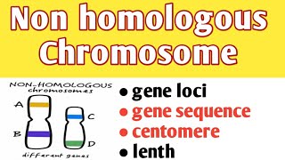 Non homologous chromosome definition and characteristics properties [upl. by Anes]