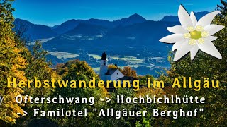 Herbstwanderung im Allgäu Ofterschwang  Hochbichlhütte  Allgäuer Berghof [upl. by Nitsreik]