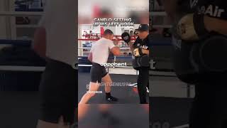 Canelo Pad Work caneloalvarez boxeo méxico ringside russia canelo london india boxer 1m [upl. by Infield]