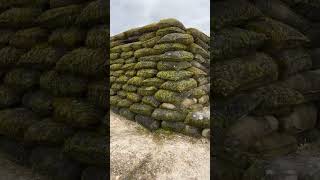 WW1 reconstructed trenches at the Main de Massiges battlefield full video soon [upl. by Herr]