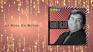 La Rosa En Botón  Los Hispanos  Discos Fuentes Audio Oficial [upl. by Nealon]