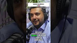 Innovaciones Tecnológicas en Agricultura ridder agro podcast [upl. by Normalie]