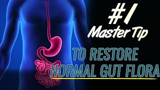 The 1 Master Tip to Help Restoring a Normal Gut Flora [upl. by Jarin]