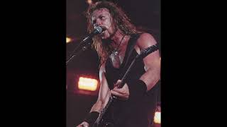 James Hetfield  Me Lambe Raimundos Cover IA [upl. by Nonarb]