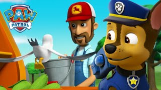 Os Cães salvam o silo de milho do Agricultor Al dos pássaros famintos  Patrulha Pata PAW Patrol [upl. by Hsaniva]