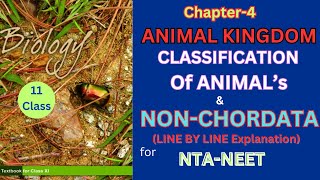 Class 11 Animal kingdom NonChordatesncertbiology Harunbiozone [upl. by Yedorb]