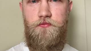 25 week beard journey first time growing [upl. by Orual148]