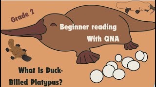 Beginner Reading What is DuckBilled Platypus Grade 2 IB Curriculum DRP reads [upl. by Yznil]