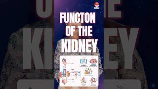 Mnemonics for functions of the kidney by Dr Apurva  NORCET 70 amp 80  NNL ONE  Nusing Next Live [upl. by Wenoa]