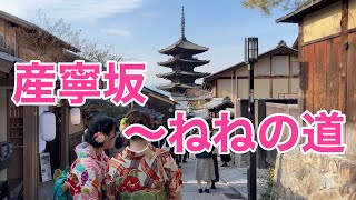 【4K】京都 師走の産寧坂〜ねねの道を歩く Walk in Kyotojapan 20221228 [upl. by Azarria506]