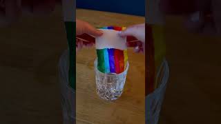 Experiment Wachsender Regenbogen shorts kindergarten kidsactivities science funforkids [upl. by Lolande]