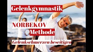 Gelenkgymnastik nach der Norbekov Methode aus dem Buch Eselsweisheit Vollversion auf Englisch [upl. by Annayrb]