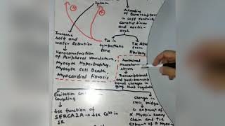 HEART FAILURE SIMPLIFIED BASED ON HARRISON PRINCIPLES OF INTERNAL MEDICINE 19the [upl. by Lihka]