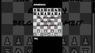 tal vsavarbakh 1954chess شطرنج belgradegambit sacrifice grandmaster tactics  25p1 [upl. by Cerveny849]