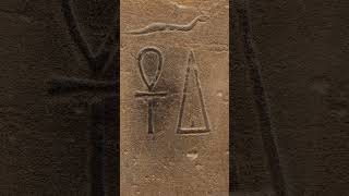 Phallic Carvings in Luxor Temple Egypt luxortemple egypt ancienthistory [upl. by Oz]