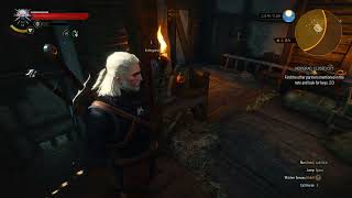 Witcher 3  Novigrad Closed City Find Other Partner In Note amp Look For Keys [upl. by Sarge858]