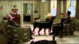 Dobermans in movie  16 part 2  Доберманы в кино [upl. by Adnohrahs]