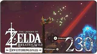 Die Spitze von Schloss Hyrule 230 ► THE LEGEND OF ZELDA BREATH OF THE WILD EX [upl. by Eusadnilem]