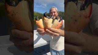 Stone Crab Claws KillerDock [upl. by Breana]