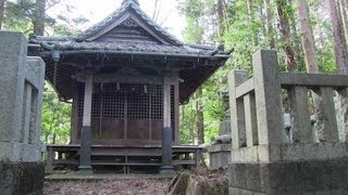 🚶‍♂️ Discovering a hidden Shinto shrine  Walking in Japan 隠された神社を発見  日本でのウォーキング [upl. by Bachman174]