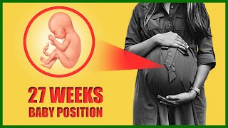 27 Weeks Pregnant Baby Position – Baby Moving and Size in the Womb [upl. by Zachariah]