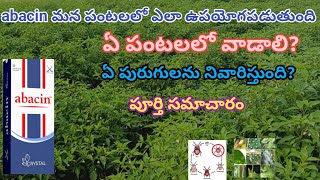 Abacin insecticide in telugu  crystal abacin insecticide  Abamectin  abacin mirchi  abacin dose [upl. by Carlynne]