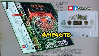 SELVA NEGRA vol 15 AMPARITO signo Sonomar 1995 musica tropical Ebano SLP [upl. by Francesca]