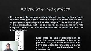 Bioinformática y red de genes [upl. by Einafit]