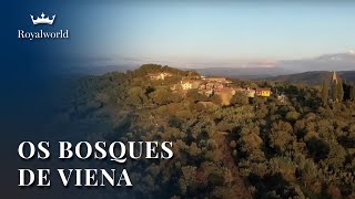 Os Bosques de Viena  Habsburgo e meio ambiente [upl. by Aliza]