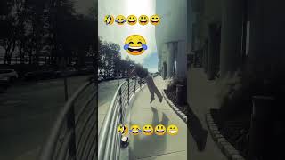 Bas ek najar usko dekha dil me uski tasveer lagi funny comedyvideos shorts youtubeshorts 🤣😂 [upl. by Aerdnac818]