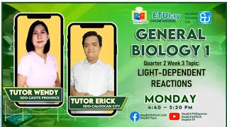 LightDependent Reactions  General Biology 1  Quarter 24 Week 3 [upl. by Ninerb]