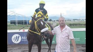 JAMAICA RACING Atomica Explodes In Jamaica Cup  Sat Nov 9 2024 10th [upl. by Sumer]