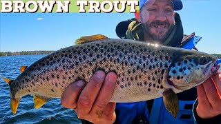 Brown Trout trolling w Garmin Livescope [upl. by Naeruat]