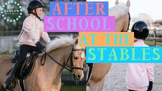 After School At The Stables  Harlow amp Popcorn The Pony [upl. by Enttirb]