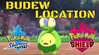 Pokemon Sword And Shield Budew Location [upl. by Suiratnauq]