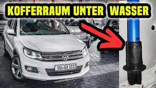 VW Tiguan Wasser im Kofferraum  Panoramadach undicht [upl. by Aitra927]