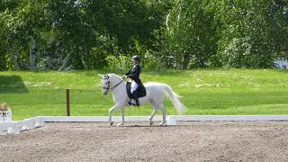 Prix St George  Dressage at Rebecca Farm [upl. by Aneleiram]