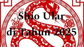 Shio Ular di Tahun 2025 [upl. by Halihs410]