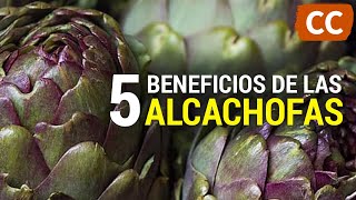 5 Beneficios de las Alcachofas  Ciencia de la Comida [upl. by Penoyer]