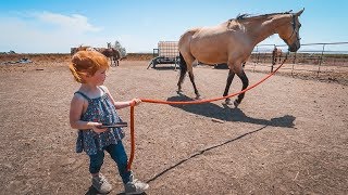 Adley RIDES SPIRIT the Horse [upl. by Ashlan]