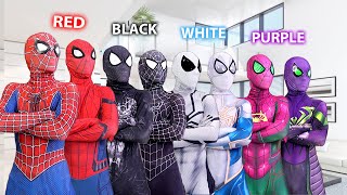 PRO 6 SpiderMan Bros vs ALL Color Day Compilation  1 Hour by FLife TV [upl. by Lemert691]