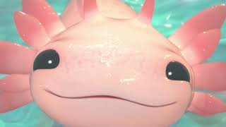 1 Bit 2 Bit 4 Bit 8 Bit 16 BIT 32 Bit 128 Bit 256 Bit 512 Bit 1024 Bit 2048 Bit 4096 Bit axolotl [upl. by Rondon704]