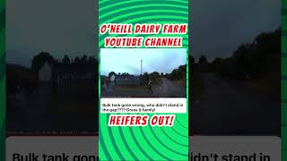 farming cow family familyfarm irishfarm dairy irish [upl. by Nilrev]