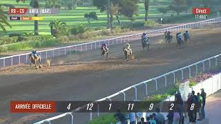 Live Hippodrome « CASABLANCA »  Courses du « 11112024 » [upl. by Sldney]