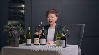 詩詩酒樂園 CC Wine Voyage  Rhone Valley Wines 隆河谷酒區分享 [upl. by Martita]