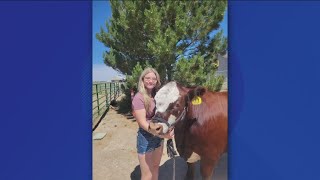 What a comoonity Elmore County FFA fundraiser steer raises 88500 and the number is growing [upl. by Olegnaid]