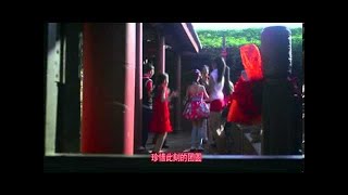 Angel 贝贝 团圆饭  招财进宝 Official MV [upl. by Aihsenrad]